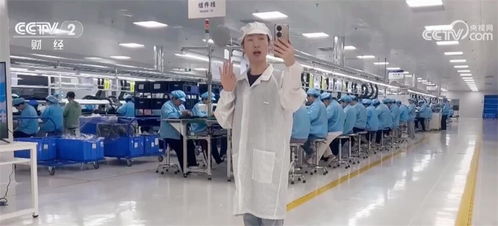 春招季亮点频现 数字技术与智慧服务加速融入新兴行业